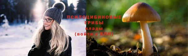 гидропоника Бородино